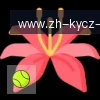 开云体育 logo