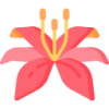 开云体育 logo