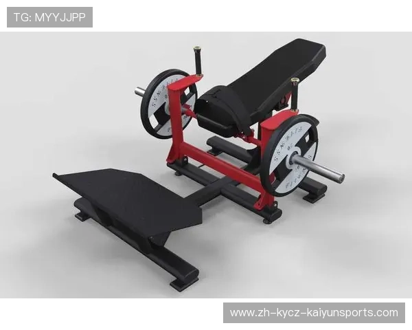 国外自制健身器材创意集合：体育爱好者的DIY乐趣