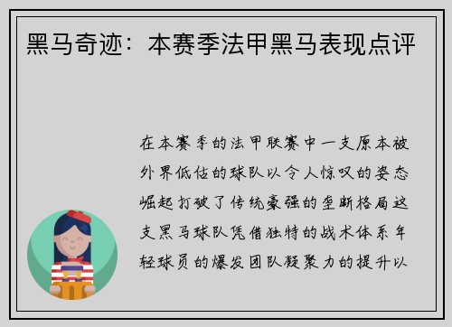 黑马奇迹：本赛季法甲黑马表现点评